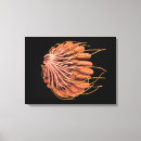Search for female anatomy canvas prints Biology