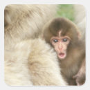 Search for snow monkey stickers Japan