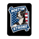 Recherche de terriers magnets Dogs