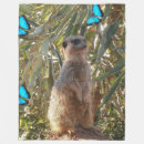 Search for meerkat blankets Wildlife
