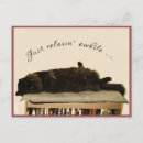 Recherche de vacances chat cartes postales Chatte