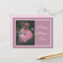 Search for dark pink rose postcards For her