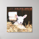 Search for newborn canvas prints Cute