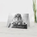 Search for hamster birthday cards Happy