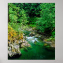 Search for canadian forest posters Colour