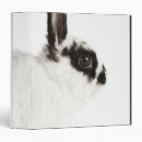 Recherche de pelucheux bureau fournitures Animal