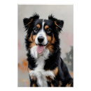 Recherche de collie posters Amoureux des chiens