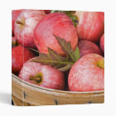 Search for food binders Fruit
