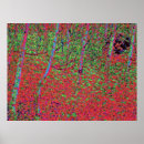 Search for psychedelic landscape art Nature