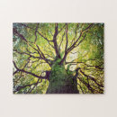 Search for roots puzzles Landscape