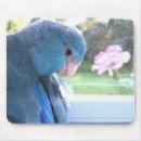 Search for communicate mousepads Blue