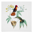 Recherche de nid posters Floral