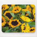Search for sunflower mousepads Bright