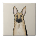Recherche de chien berger carreaux Dog