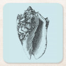 Search for aqua coasters Coastal