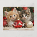 Search for christmas kitten postcards Merry christmas cat