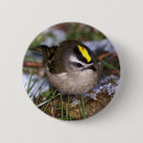 Search for crowned buttons Bird
