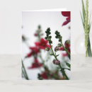 Search for blurred cards Floral