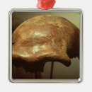 Search for primitive ornaments Homo