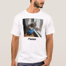 Search for kitten tshirts kitty