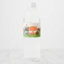 Recherche de woodland creatures Raton laveur