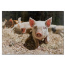 Search for pig cutting boards Farm animal