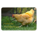 Recherche de volaille magnets Animal de ferme