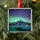 Search for aurora ornaments Snow