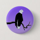 Search for balding buttons Portrait