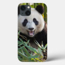 Recherche de chengdu électronique Chine