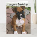 Search for boxer birthday cards Animal