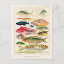 Search for artworks postcards Vintage