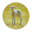 Search for sheep cutting boards Wool