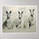 Search for kangaroo art Animals