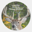 Search for deer hunting stickers Woods
