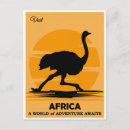 Recherche de autruches cartes postales Africain