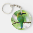 Search for blue morpho butterfly keychains Green