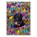 Recherche de abbys cartes postales Animal