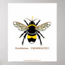 Search for pollinator posters Wildlife
