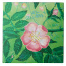 Search for wild rose tiles Botanical