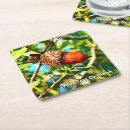 Search for acorn coasters Oak