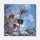 Search for pine cones magnets Winter