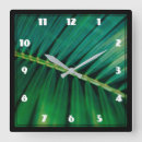 Search for palm leaf clocks Exotic