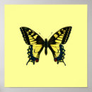 Recherche de papillon jaune posters Insecte