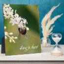 Recherche de abeille plaques Nature