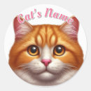 Search for orange tabby stickers Kitten