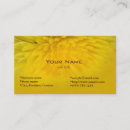 Recherche de fleurs pissenlit cartes visite Jaune