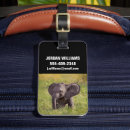 Search for kenya luggage tags Elephant calf