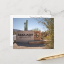 Recherche de saguaro cartes postales Cactus