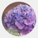 Search for lavender hydrangea stickers Flower